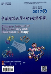 中国生物化学与分子生物学报生物学论文投稿