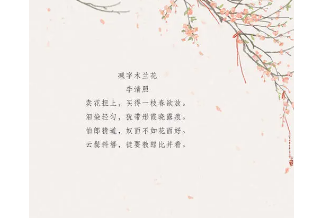 ʫĻ
