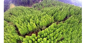 林业林产品